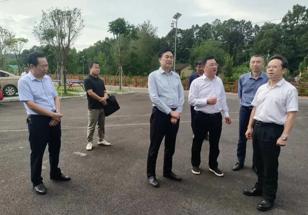 와이즈 스포츠 와이즈 스포츠 토토