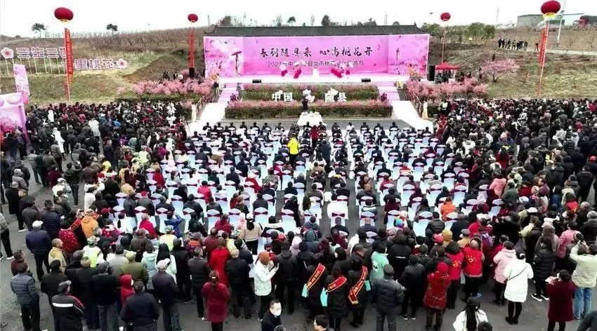 와이즈 스포츠 토토