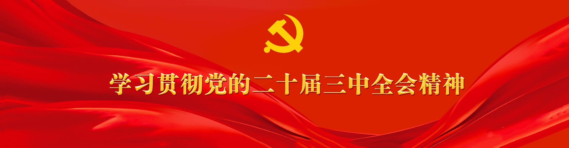 学习贯彻党的二十届三中全会精神